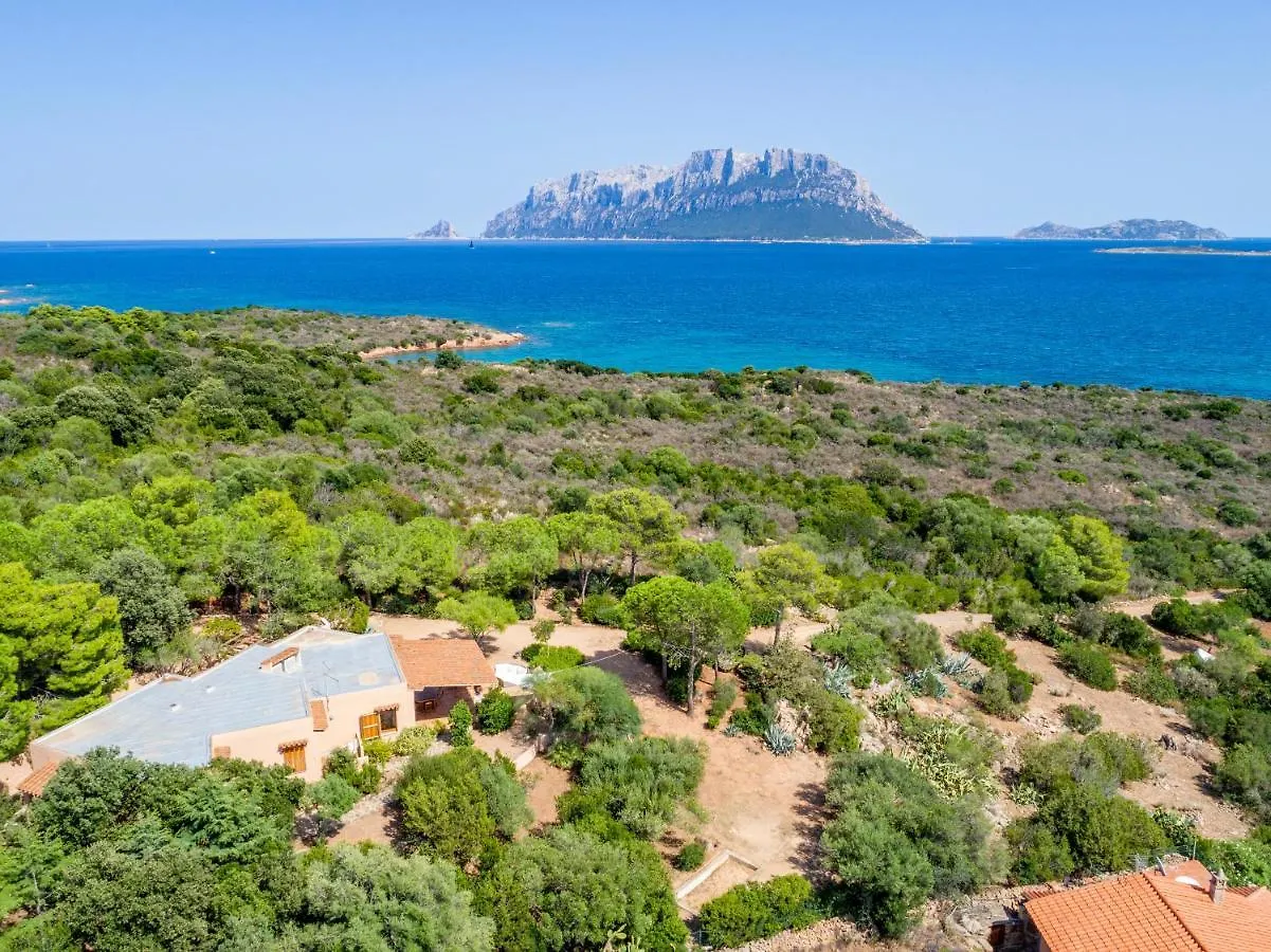 Villa Gaviel, Villa Con Accesso Diretto Al Mare Porto Istana 0*,